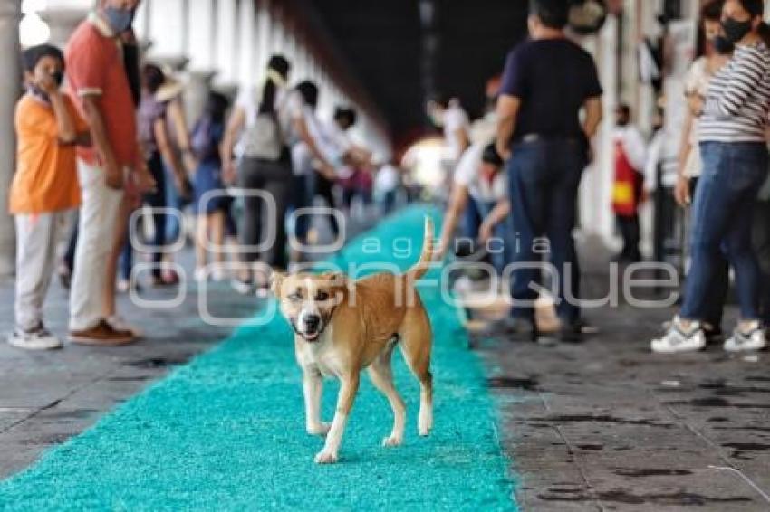 SAN PEDRO CHOLULA . ALFOMBRAS