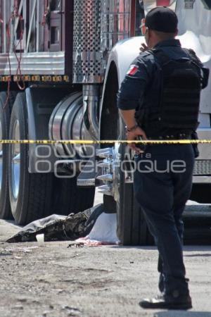 CENTRAL DE ABASTO . ATROPELLADO