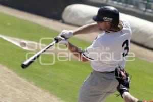 BEISBOL . TOROS VS GUERREROS