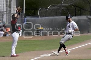 BEISBOL . TOROS VS GUERREROS