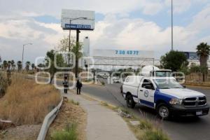 LOCALIZAN CRÁNEO HUMANO