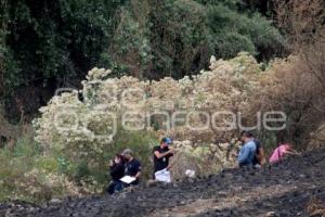 LOCALIZAN CRÁNEO HUMANO 