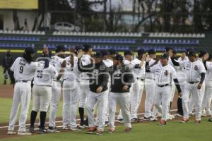 BÉISBOL . TIGRES VS PIRATAS