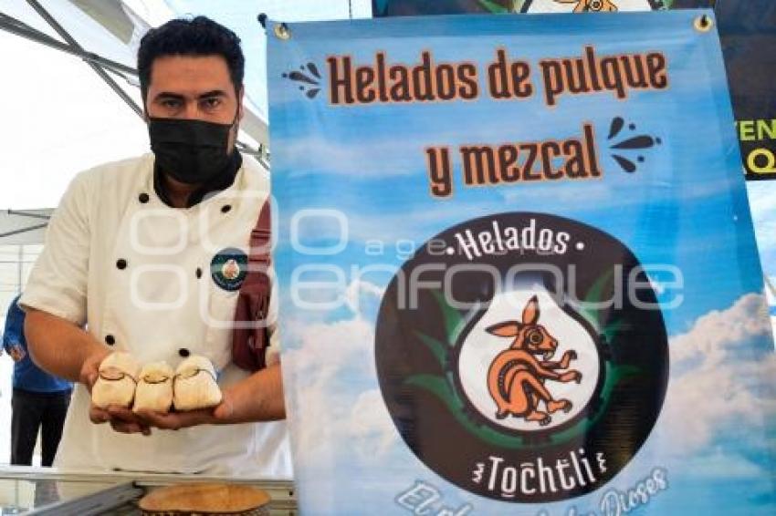 TLAXCALA . FESTIVAL DEL HELADO