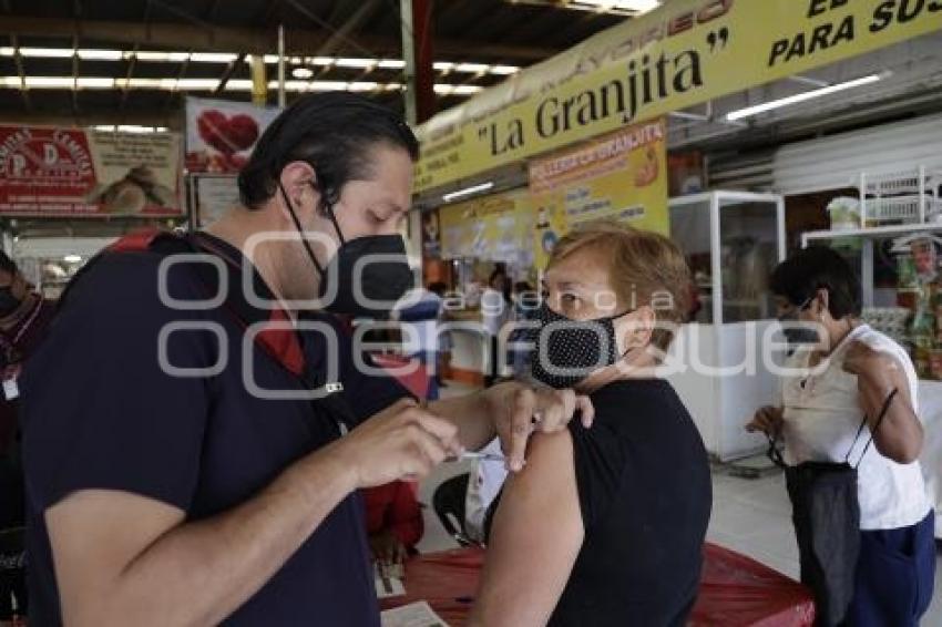 MERCADO . VACUNA COVID-19