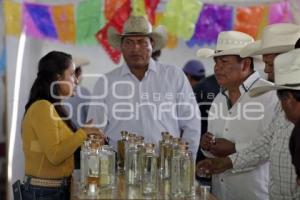 FERIA DEL MEZCAL