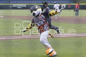 BÉISBOL . TIGRES VS PIRATAS