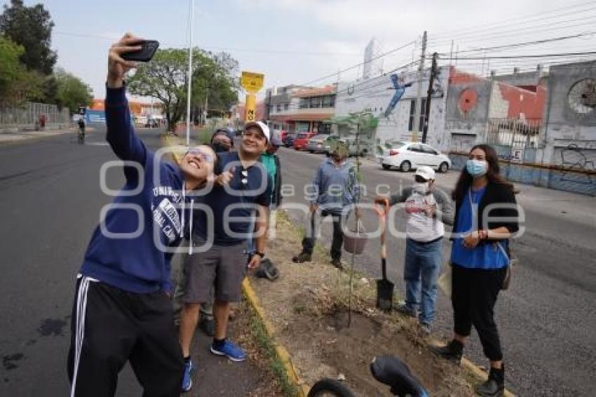 JORNADA DE REFORESTACIÓN