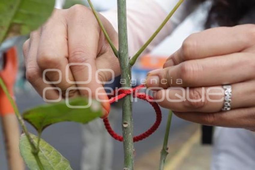 JORNADA DE REFORESTACIÓN