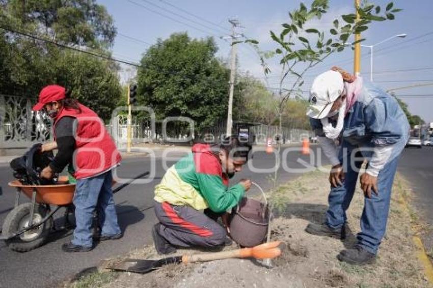 JORNADA DE REFORESTACIÓN