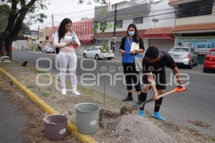 JORNADA DE REFORESTACIÓN