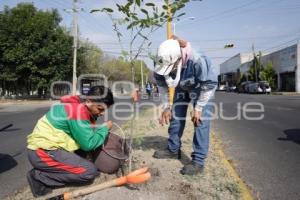 JORNADA DE REFORESTACIÓN