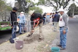 JORNADA DE REFORESTACIÓN