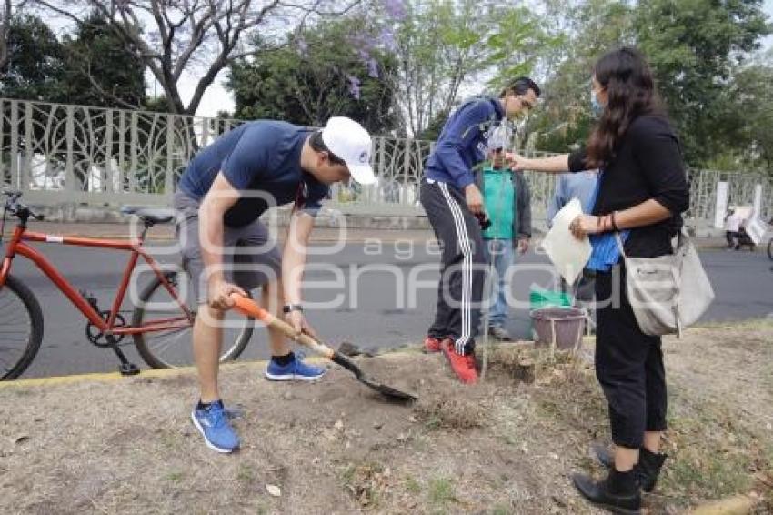 JORNADA DE REFORESTACIÓN