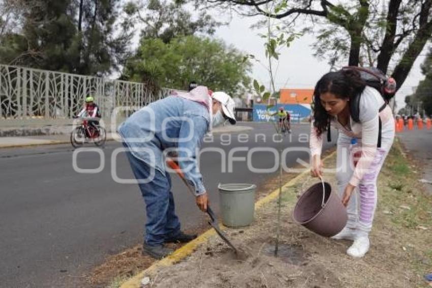 JORNADA DE REFORESTACIÓN