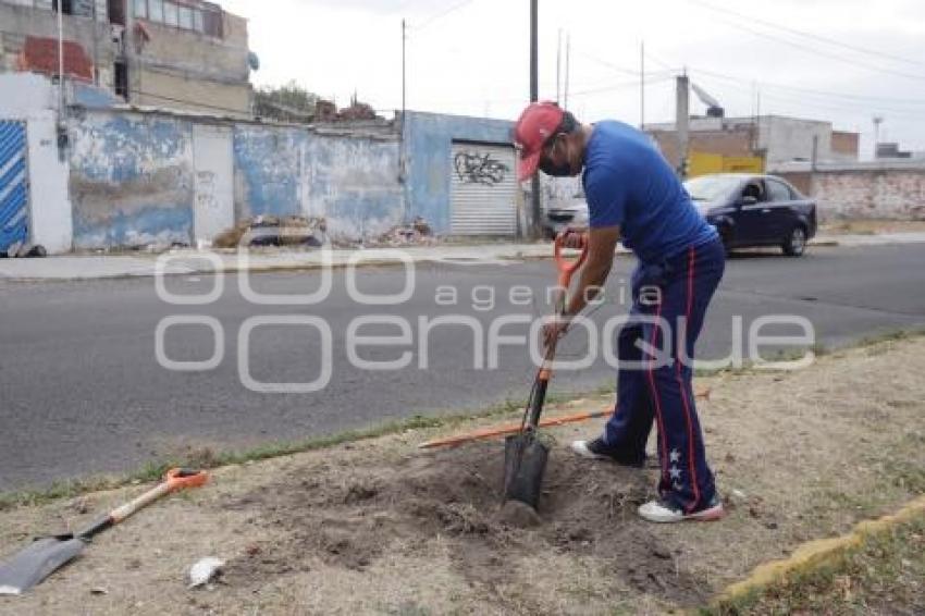 JORNADA DE REFORESTACIÓN