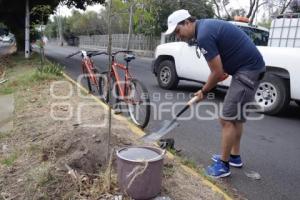 JORNADA DE REFORESTACIÓN