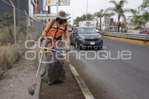 SAN ANDRÉS CHOLULA . JORNADA DE LIMPIEZA