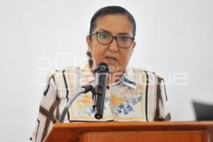 TLAXCALA . CONSEJO CIUDADANO