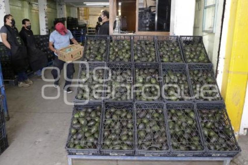 CENTRAL DE ABASTO . AGUACATE