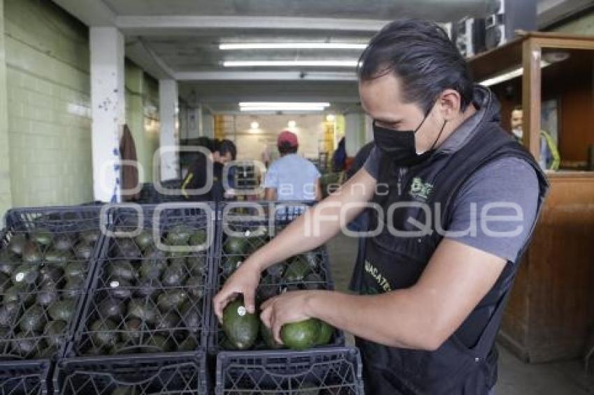 CENTRAL DE ABASTO . AGUACATE