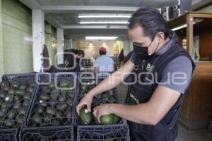 CENTRAL DE ABASTO .  AGUACATE