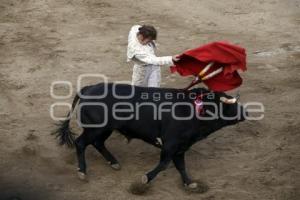 FERIA DE PUEBLA . TOROS