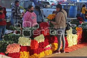 ATLIXCO . DÍA DE LA MADRE . FLOR