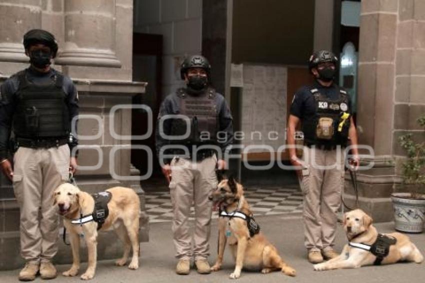 AYUNTAMIENTO . UNIDAD CANINA