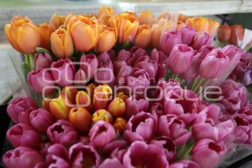 TLALTEPANGO . MERCADO DE FLORES