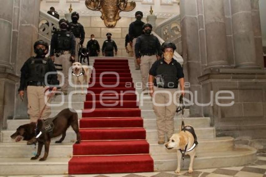 AYUNTAMIENTO . UNIDAD CANINA