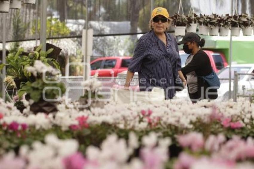 ATLIXCO. DÍA DE LA MADRE