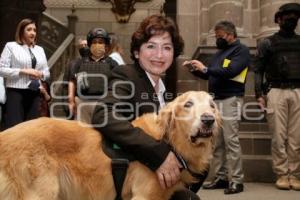 AYUNTAMIENTO . UNIDAD CANINA