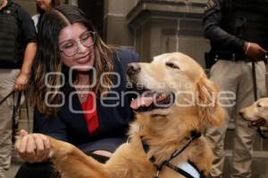 AYUNTAMIENTO . UNIDAD CANINA