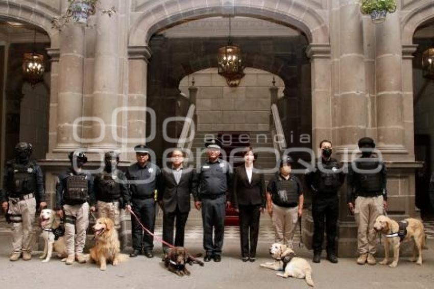 AYUNTAMIENTO . UNIDAD CANINA