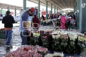 TLALTEPANGO . MERCADO DE FLORES