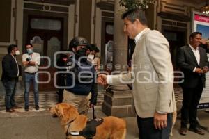 AYUNTAMIENTO . UNIDAD CANINA