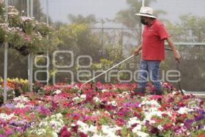 ATLIXCO. DÍA DE LA MADRE