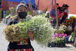 PANTEÓN DÍA DE LA MADRES