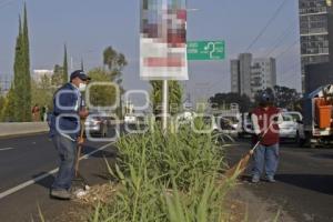 JORNADA METROPOLITANA DE SERVICIOS PÚBLICOS