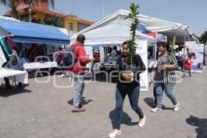 SAN ANDRÉS CHOLULA . JORNADAS DE PROXIMIDAD