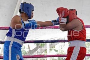 TORNEO DE BARRIOS . BOX