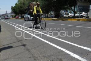 CICLOCARRIL . CAMINO REAL