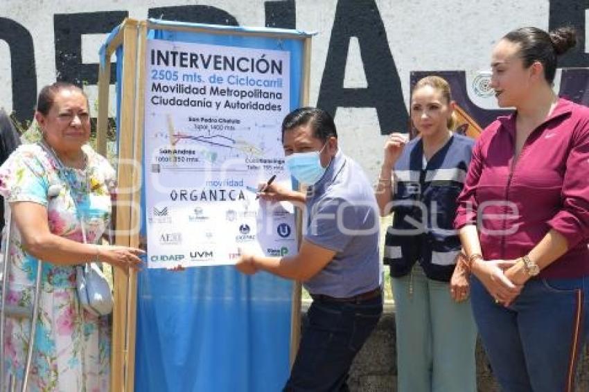 JORNADA METROPOLITANA