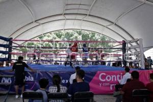 TORNEO DE BARRIOS . BOX