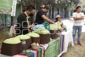 FESTIVAL DE LA GULA