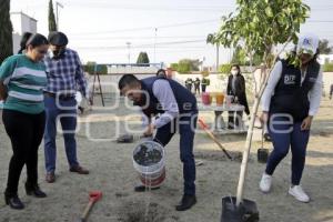 SAN ANDRÉS CHOLULA . JORNADA DE REFORESTACIÓN