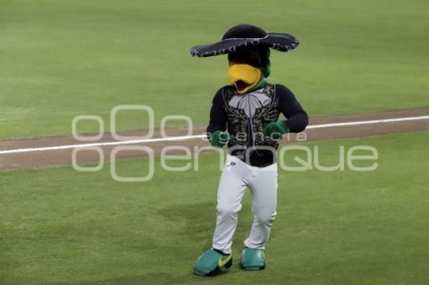 BEISBOL . PERICOS VS LEONES