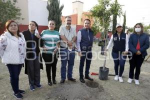 SAN ANDRÉS CHOLULA . JORNADA DE REFORESTACIÓN