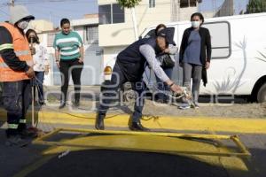 SAN ANDRÉS CHOLULA . JORNADA DE REFORESTACIÓN